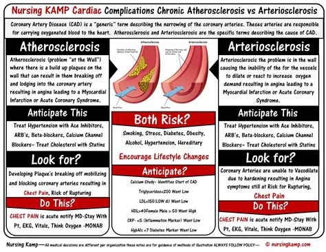 Atherosclerosis and Arteriosclerosis Difference