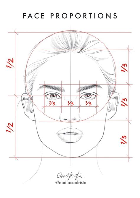 How to Draw a Realistic Face Proportions - Dill Fralmoverse