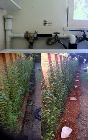 Greywater Irrigation System Design, Install and Maintain