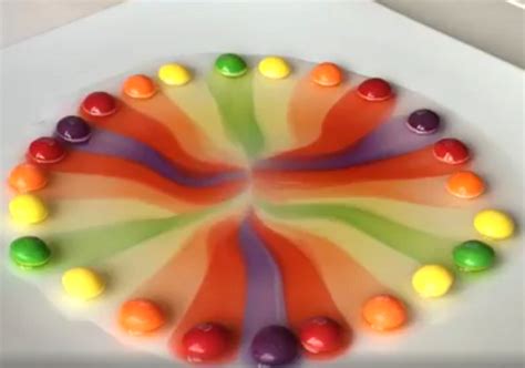 Skittles Science Experiment for Kids - Crafty Morning