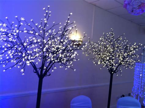 Trees decorated with fairy lights. Inexpensive and ecological. Trees can be planted in the ...