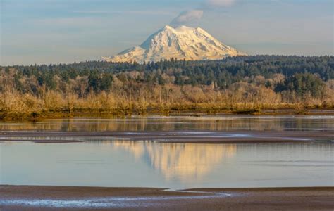 The 20 Best Things to Do in Olympia, WA for First Timers