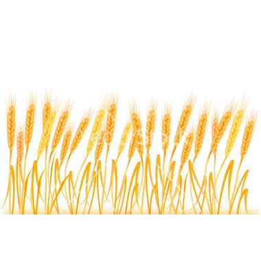 Wheat clipart border pictures on Cliparts Pub 2020! 🔝