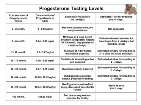 Dog Reverse Progesterone Levels Chart Pin On Fountain Falls