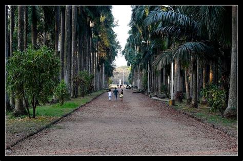 botanical garden....howrah - India Travel Forum | IndiaMike.com