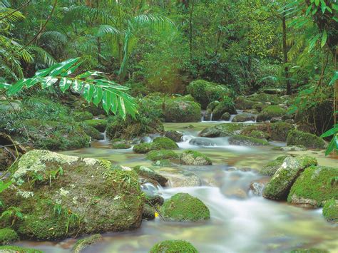 Mossman Gorge, Daintree National Park - Queensland