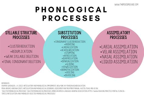 The Different Phonological Processes List For Slps The Pedi Speechie | Hot Sex Picture