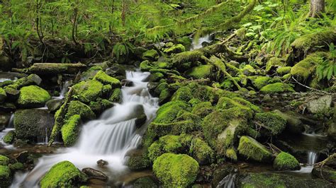 Waterfall through the mossy rocks wallpaper | nature and landscape | Wallpaper Better