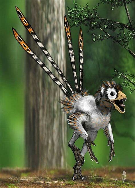 Epidexipteryx is a genus of small paravian Dinosaurs. | Animaux préhistoriques, Animaux éteints ...