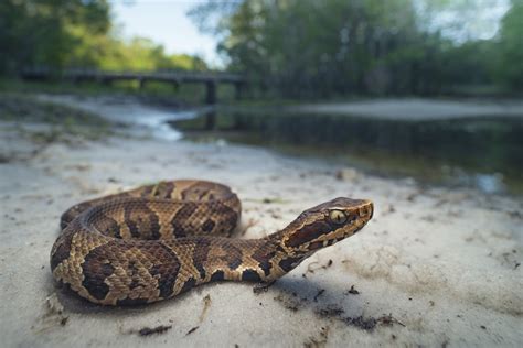 Everglades Safari Park