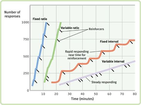 variable interval reinforcement schedules graph - Google Search | Bcaba exam, Applied behavior ...