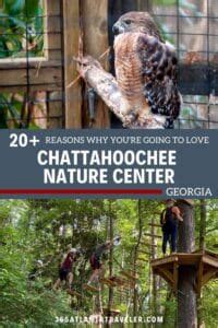 Chattahoochee Nature Center: 19+ Reasons Why You’re Going To Love It