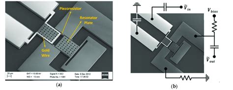 SEM image of the (a) main elements of a MEMS magnetic field sensor with... | Download Scientific ...