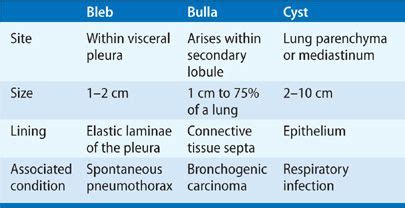 Bullous Disease of the Lung | Thoracic Key