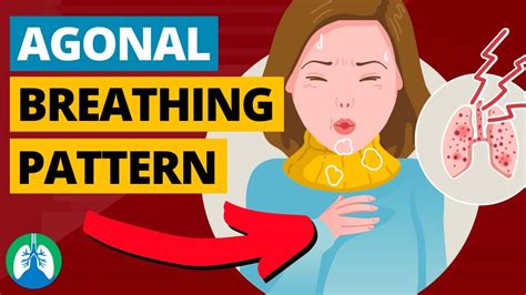 Agonal Breathing (Medical Definition) | Quick Explainer Video - YouTube