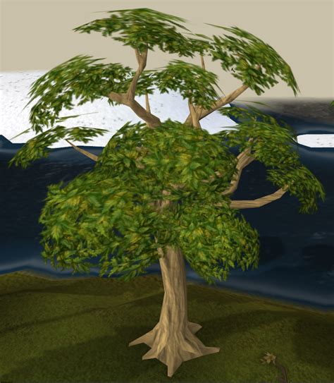 Mahogany tree - The RuneScape Wiki