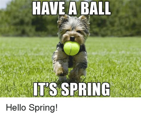 7 Funny Spring Memes to Welcome the New Season