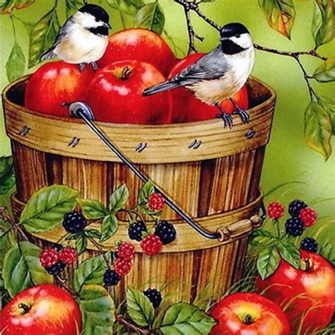 Buy 3D DIY Diamond Painting Fruit Bird Full Round Mosaic Prhineston Diamond Embroidery Animal ...