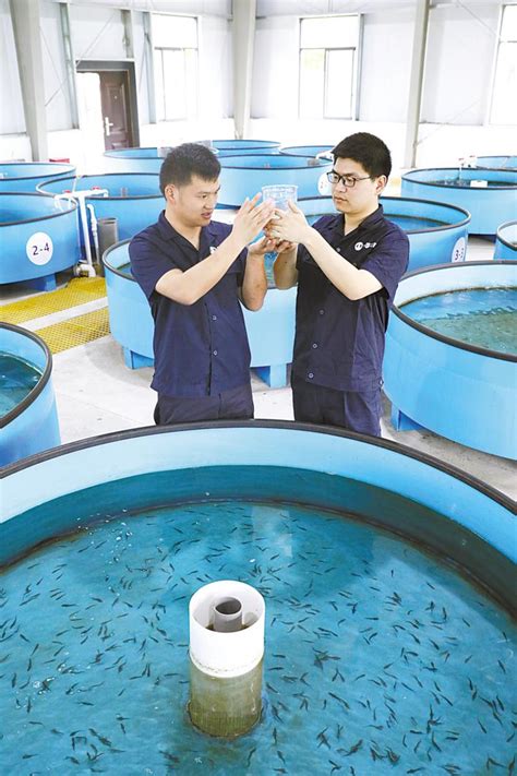 China Three Gorges Corporation sets record in Yangtze sturgeon breeding - The people's ...