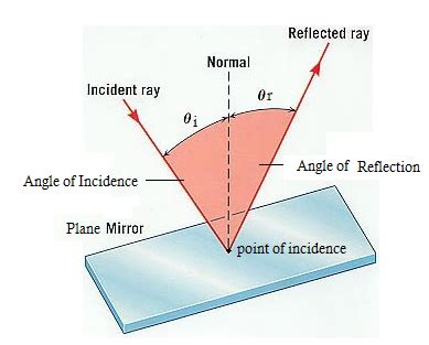 a Draw a diagram to show the reflection of light from a plane mirror.Label the following on the ...