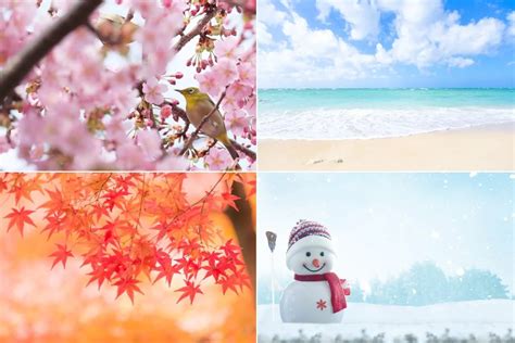 Seasons in Japan: Four Distinct Seasons, Four Unforgettable Experiences ...