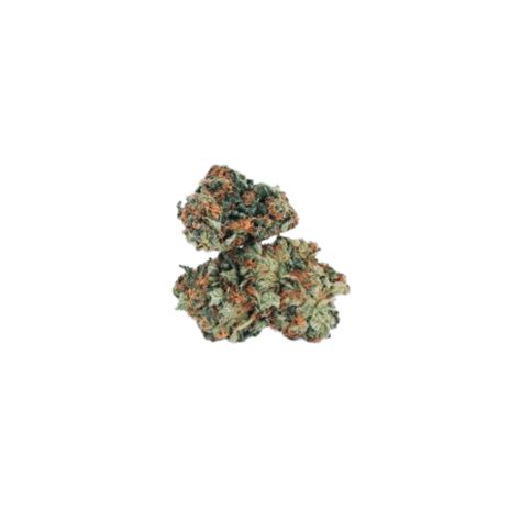 Purple Kush | Weed Strain | Cannabis Link