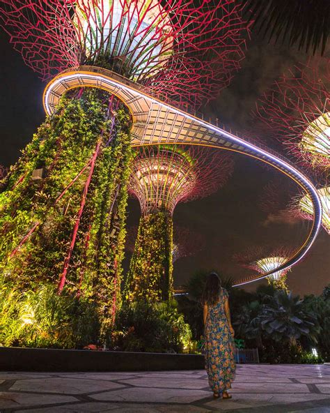 Gardens By The Bay Light Show - Free Things To Do In Singapore