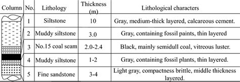 Column diagram of the coal seam | Download Scientific Diagram