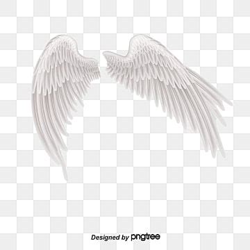 Wings PNG, Vector, PSD, and Clipart With Transparent Background for Free Download | Pngtree