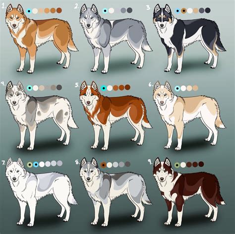 Pin by Nicole Miller on Huskies | Husky colors, Husky eyes, Siberian husky