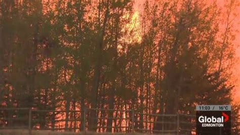 Friday sees more wildfire evacuations in Alberta | Watch News Videos Online