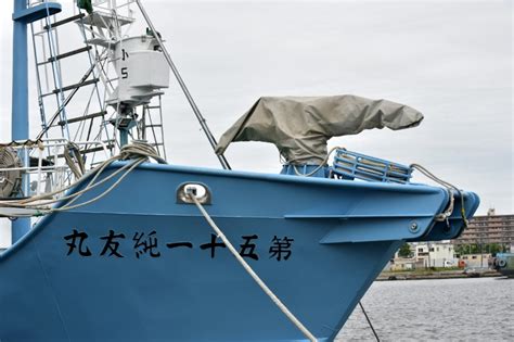 Bangkok Post - Whaling ships set sail as Japan resumes commercial hunts