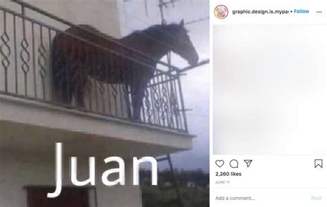 Juan original | Juan / Horse On Balcony | Know Your Meme