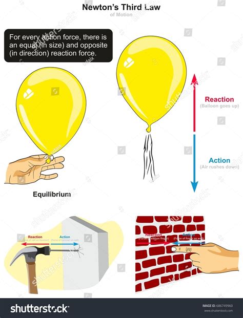 Hammering A Nail Action And Reaction - Nail Ftempo