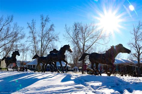 Spruce Meadows Christmas Market