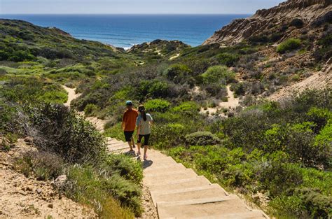 Best Hikes in San Diego: Top Hiking Trails and Spots Near San Diego - Thrillist