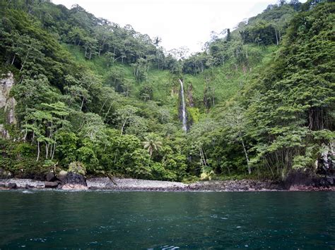 Perata Photography: Cocos Island Costa Rica 4.17.12 - 4.27.12