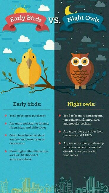 Early Birds vs. Night Owls: The Surprising Truth