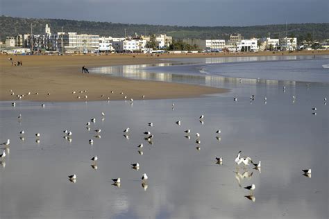 Essaouira - Beach | Essaouira | Pictures | Morocco in Global-Geography