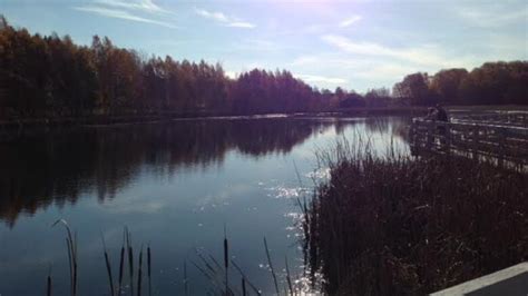 New Brunswick weather: sunshine today, rain tomorrow | CBC News