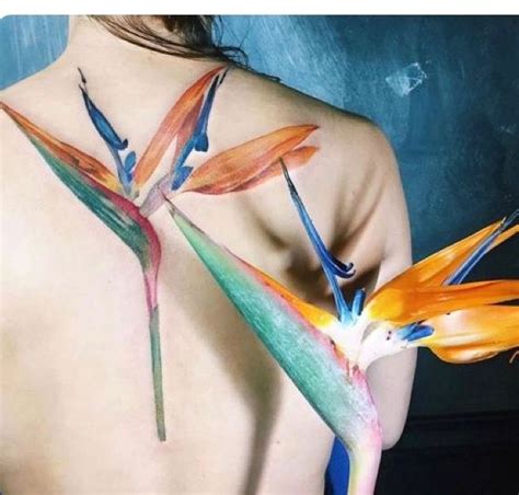 Pin by FURY on BIRD OF PARADISE | Bird of paradise tattoo, Paradise ...