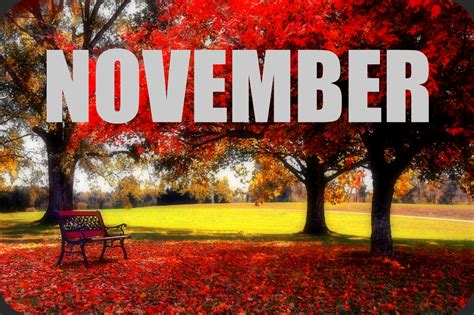 Must Read Faster: November Goals and Happenings