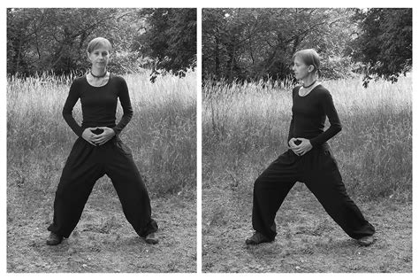 Basics about Bow-Arrow stance - PetarSmiljana Qigong