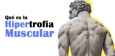 ¿Qué es la hipertrofia muscular? | JL FISIOS