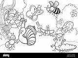 Disegni Da Colorare Insetti sketch template