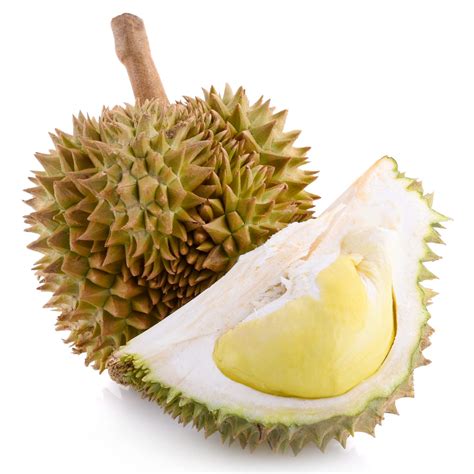 Durian Fruit - AZ World Explorer