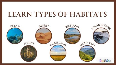 Learn Habitats | Types of Habitat | Ocean | Forest | Desert | Grassland | Wetland | Mountain ...