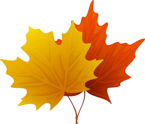 fall leaf png 10 free Cliparts | Download images on Clipground 2024