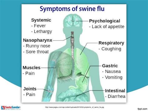 Symptoms of Swine Flu