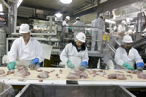 This Holiday Season, Workers in Poultry Plants Need a Union - Talk Poverty